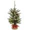 2ft. Pre-Lit Snowy Morgan Spruce Artificial Christmas Tree, Warm White LED Lights